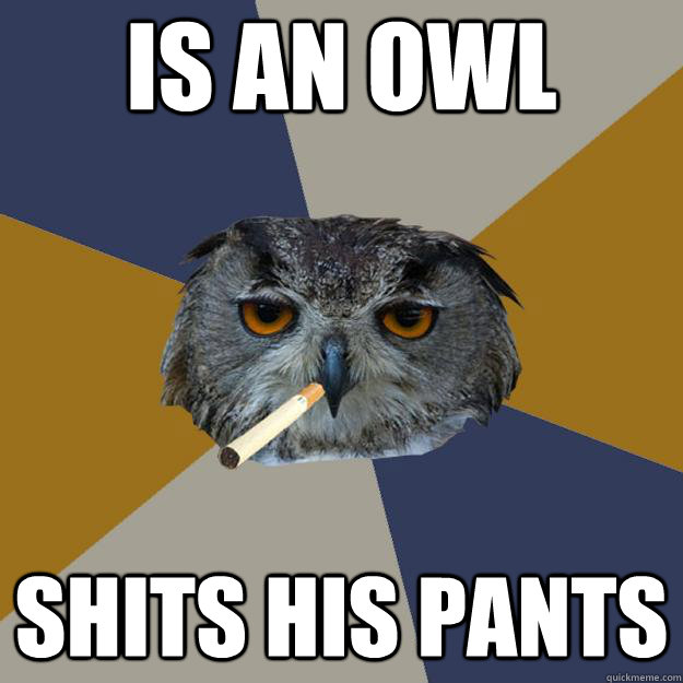 is an owl shits his pants  Art Student Owl