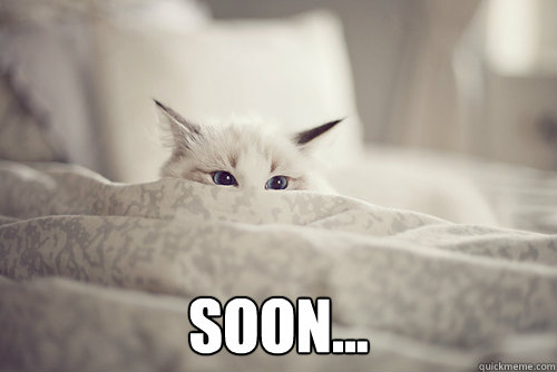  soon... -  soon...  Misc