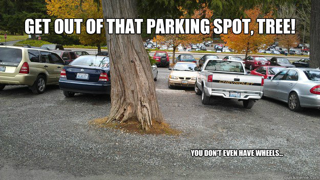 Get out of that parking spot, tree! You don't even have wheels...  Bellingham parking lots