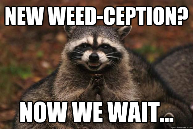 New weed-ception? Now we wait... - New weed-ception? Now we wait...  Evil Plotting Raccoon