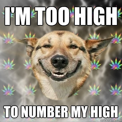 I'm too high to number my high  Stoner Dog