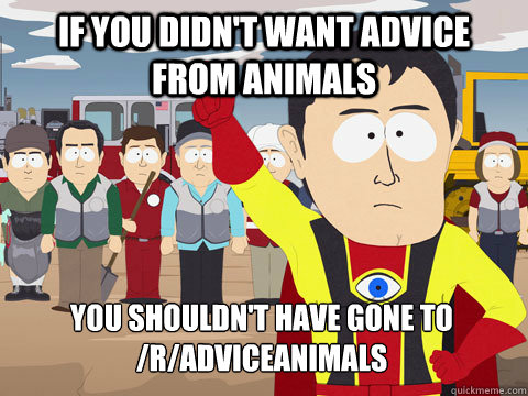 If you didn't want Advice from Animals You shouldn't have gone to /r/adviceanimals  Captain Hindsight