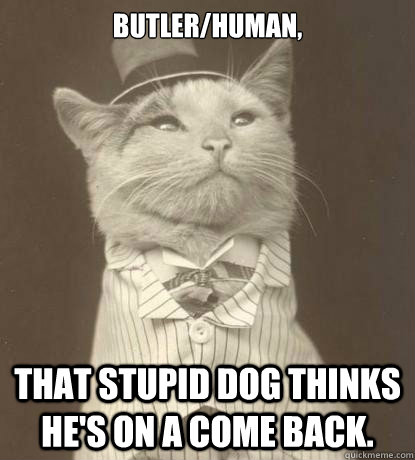 Butler/Human, That stupid dog thinks he's on a come back.  Aristocat