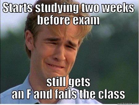 STARTS STUDYING TWO WEEKS BEFORE EXAM STILL GETS AN F AND FAILS THE CLASS 1990s Problems