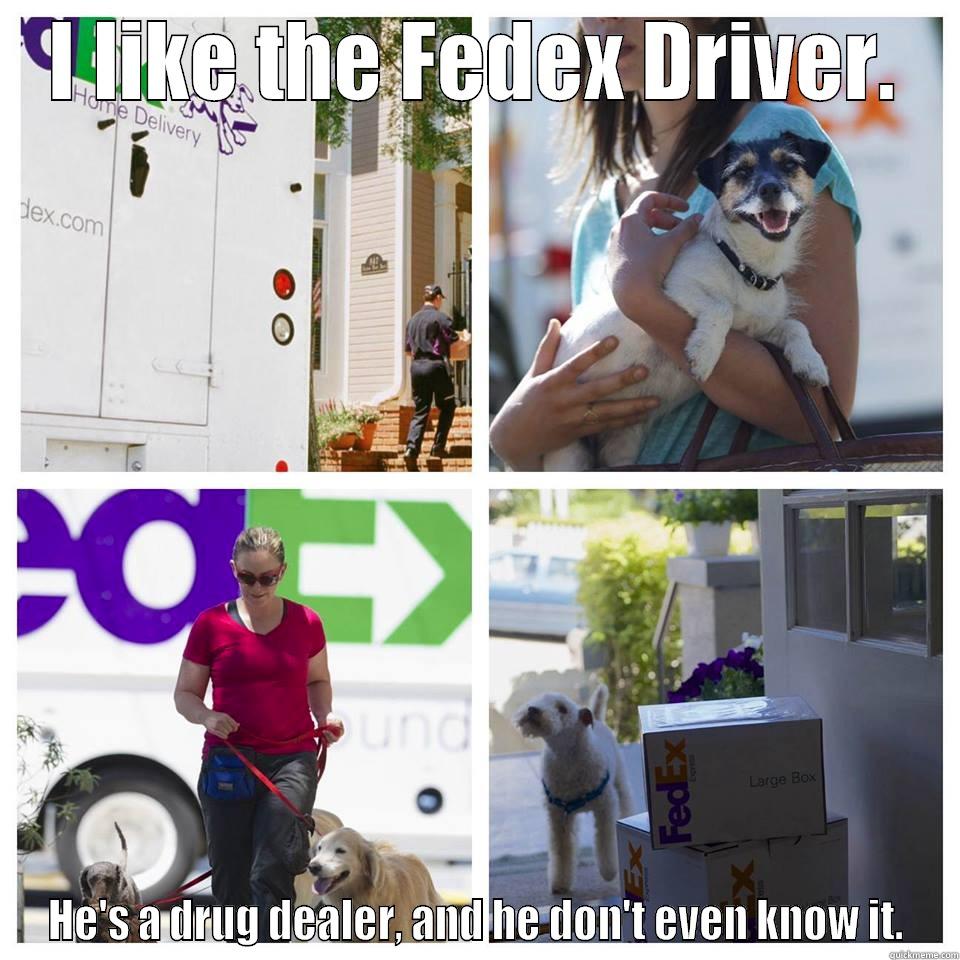 I LIKE THE FEDEX DRIVER. HE'S A DRUG DEALER, AND HE DON'T EVEN KNOW IT. Misc