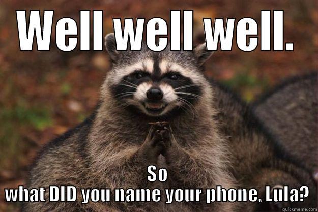 WELL WELL WELL. SO WHAT DID YOU NAME YOUR PHONE, LULA? Evil Plotting Raccoon