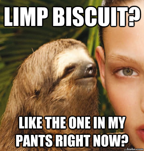 Limp biscuit? Like the one in my pants right now?  rape sloth