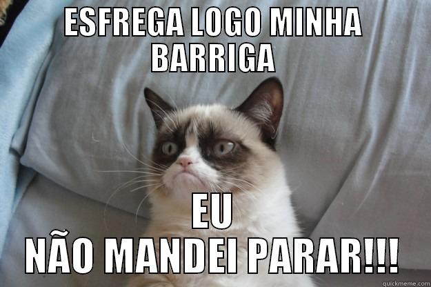 ESFREGA LOGO MINHA BARRIGA EU NÃO MANDEI PARAR!!! Grumpy Cat