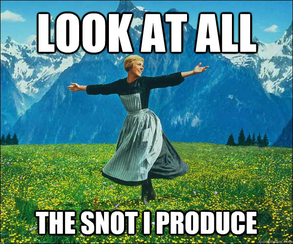 Look at all the snot I produce - Look at all the snot I produce  Sound of Music