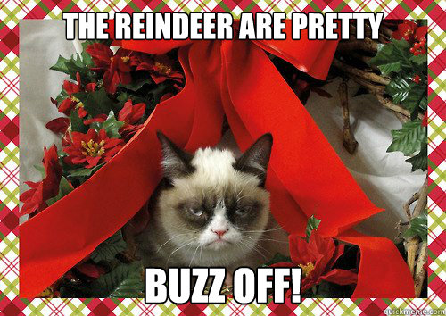 the reindeer are pretty  buzz off!  A Grumpy Cat Christmas