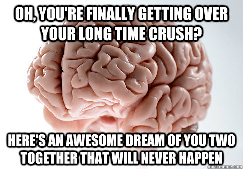 Oh, you're finally getting over your long time crush? Here's an awesome dream of you two together that will never happen  Scumbag Brain