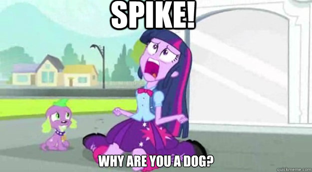 Spike! Why are you a dog?  Human Twilight Sparkle