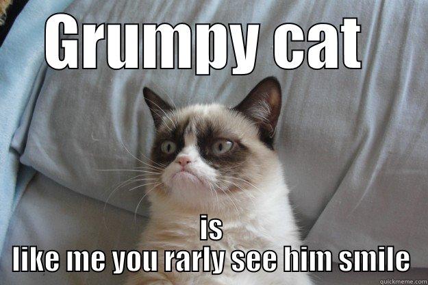 GRUMPY CAT  IS LIKE ME YOU RARLY SEE HIM SMILE Grumpy Cat