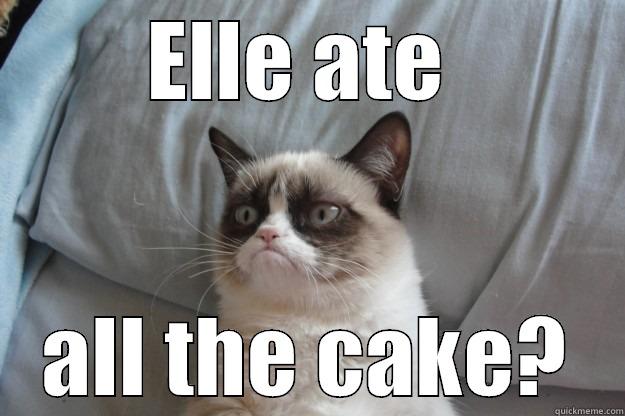 ELLE ATE  ALL THE CAKE? Grumpy Cat