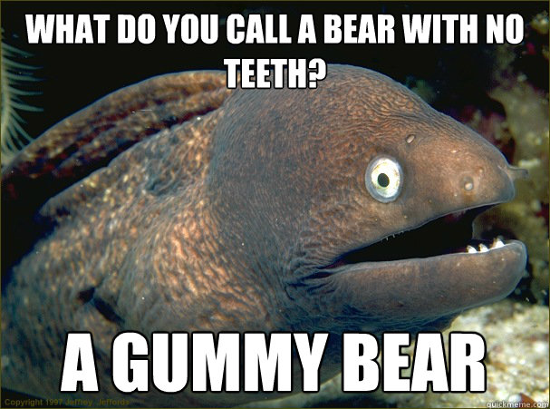 What do you call a bear with no teeth? a gummy bear - What do you call a bear with no teeth? a gummy bear  Bad Joke Eel