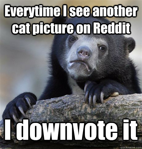 Everytime I see another cat picture on Reddit I downvote it  Confession Bear