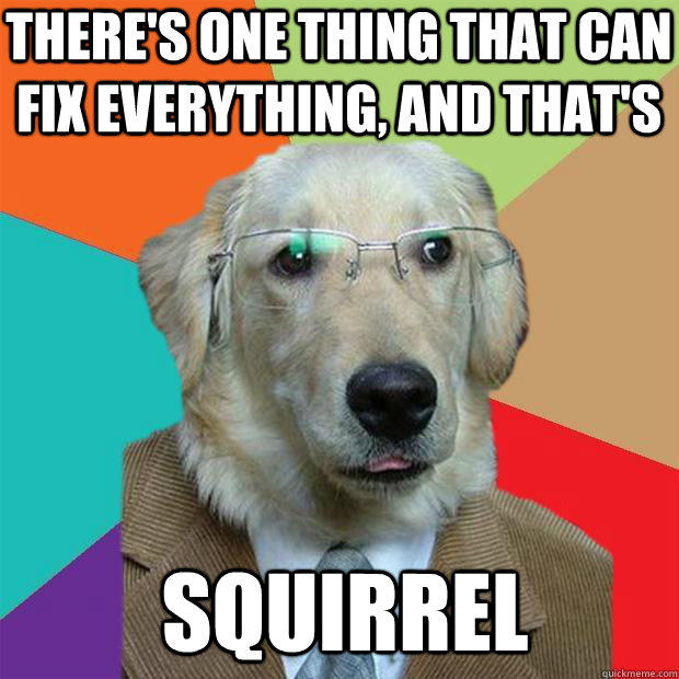 There's one thing that can fix everything, and that's Squirrel  