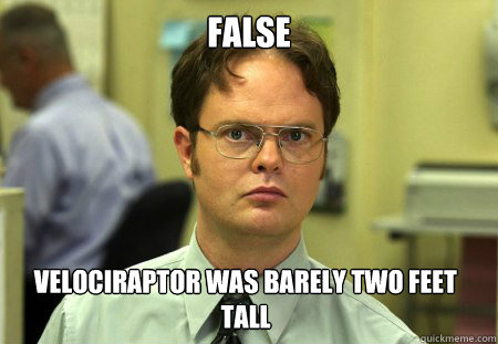 FALSE Velociraptor was barely two feet tall  Dwight