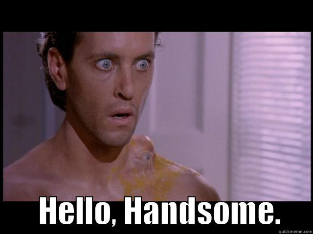 The Boil! -         HELLO, HANDSOME.     Misc