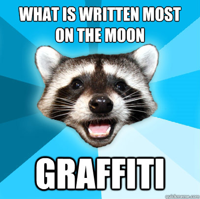 what is written most 
on the moon graffiti  Lame Pun Coon