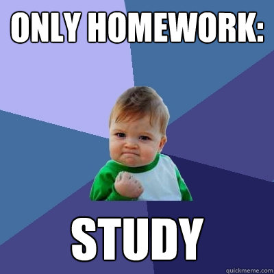 only homework: study  Success Kid