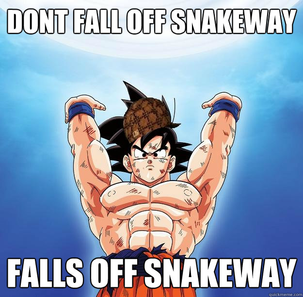 Dont fall off Snakeway falls off snakeway  Scumbag Goku