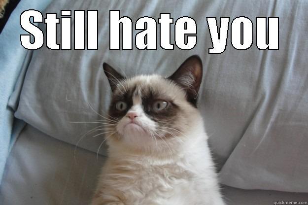 STILL HATE YOU  Grumpy Cat