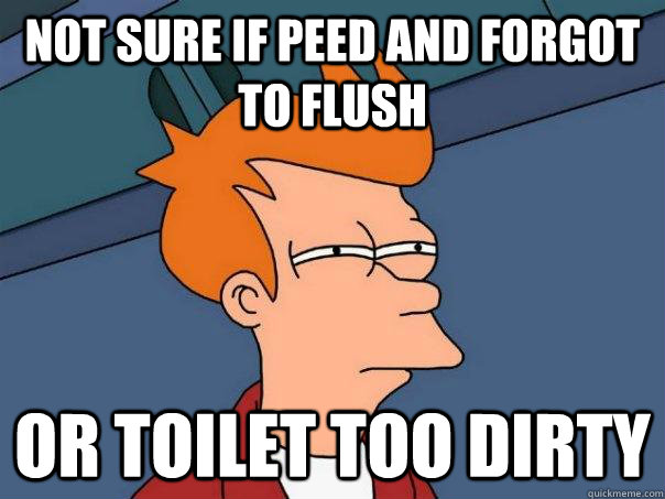 Not sure if peed and forgot to flush Or toilet too dirty  Futurama Fry