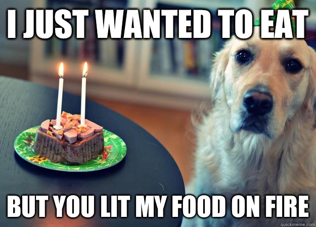 I just wanted to eat but you lit my food on fire  Sad Birthday Dog