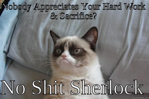 Grumpy Advice - NOBODY APPRECIATES YOUR HARD WORK & SACRIFICE?  NO SHIT SHERLOCK Grumpy Cat