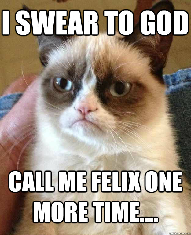 i swear to God call me felix one more time....  Grumpy Cat