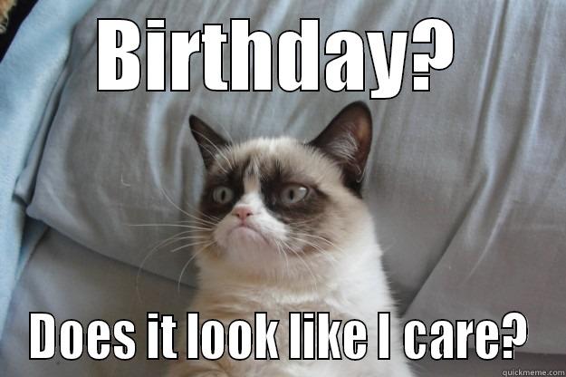 BIRTHDAY? DOES IT LOOK LIKE I CARE? Grumpy Cat