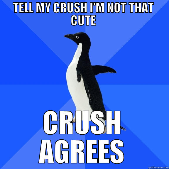 TELL MY CRUSH I'M NOT THAT CUTE CRUSH AGREES Socially Awkward Penguin