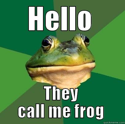 Hello i'm frog - HELLO THEY CALL ME FROG Foul Bachelor Frog