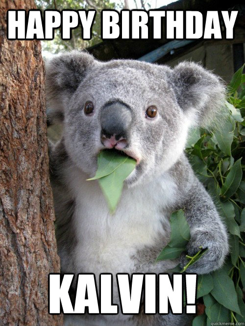 Happy Birthday KALVIN! - Happy Birthday KALVIN!  koala bear