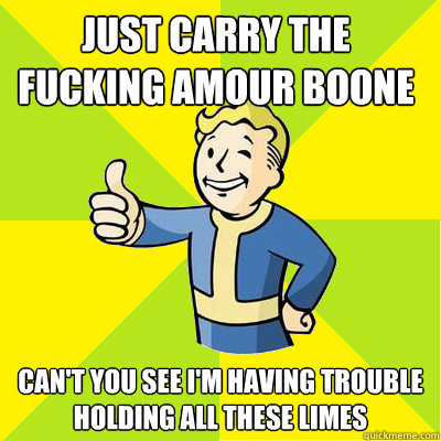 just carry the fucking amour Boone can't you see I'm having trouble holding all these limes  Fallout new vegas