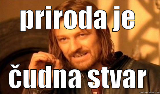 PRIRODA JE ČUDNA STVAR Boromir