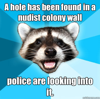 A hole has been found in a nudist colony wall police are looking into it.  Lame Pun Coon