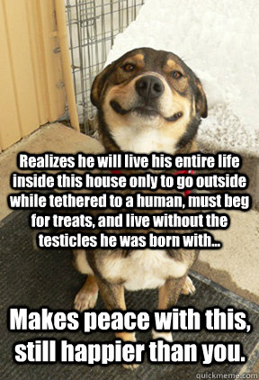 Realizes he will live his entire life inside this house only to go outside while tethered to a human, must beg for treats, and live without the testicles he was born with... Makes peace with this, still happier than you.  Good Dog Greg