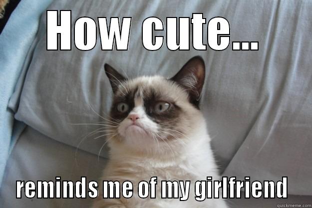 HOW CUTE... REMINDS ME OF MY GIRLFRIEND  Grumpy Cat