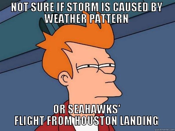 NOT SURE IF STORM IS CAUSED BY WEATHER PATTERN OR SEAHAWKS' FLIGHT FROM HOUSTON LANDING Futurama Fry