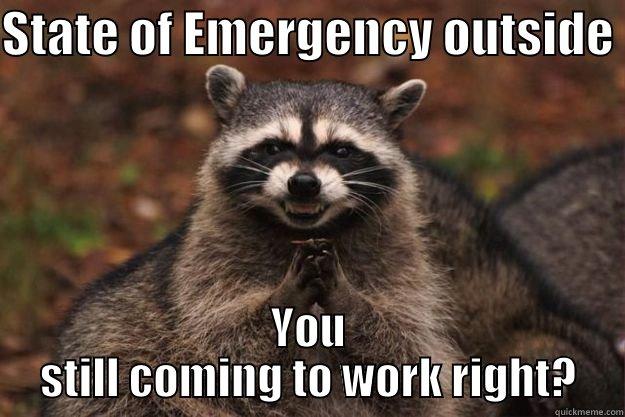 STATE OF EMERGENCY OUTSIDE  YOU STILL COMING TO WORK RIGHT? Evil Plotting Raccoon