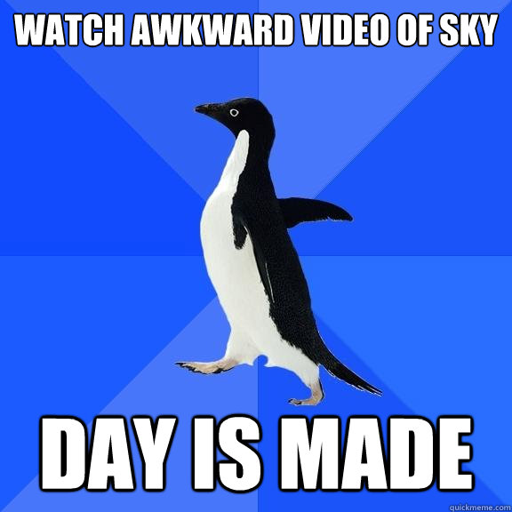 Watch awkward video of sky Day is made  Socially Awkward Penguin