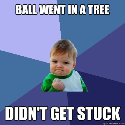 ball went in a tree didn't get stuck  Success Kid