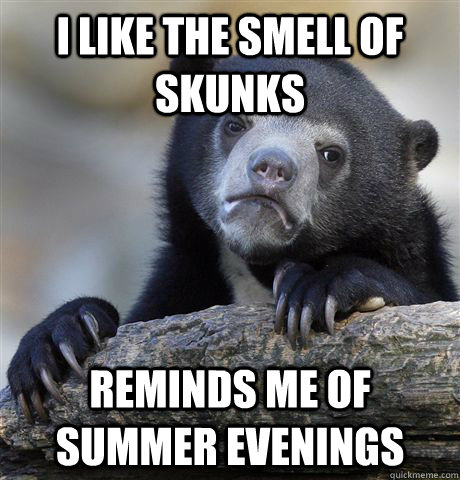 I like the smell of skunks reminds me of summer evenings - I like the smell of skunks reminds me of summer evenings  Confession Bear