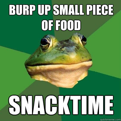 burp up small piece of food snacktime - burp up small piece of food snacktime  Foul Bachelor Frog