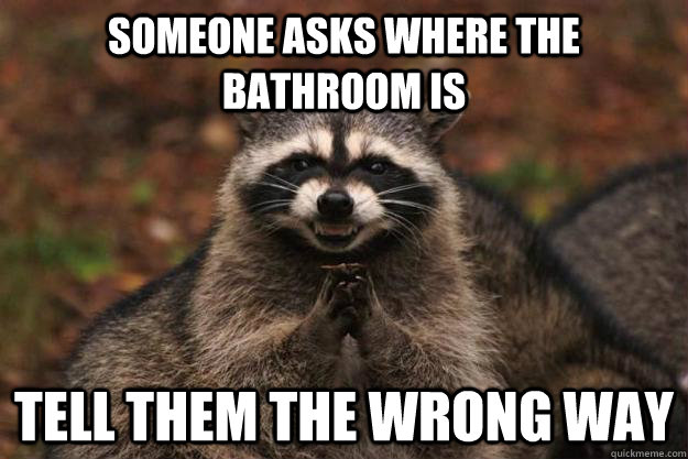 someone asks where the bathroom is tell them the wrong way  Evil Plotting Raccoon