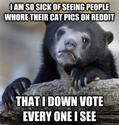 I am so sick of seeing people  whore their cat pics on Reddit That I down vote every one I see  Confession Bear