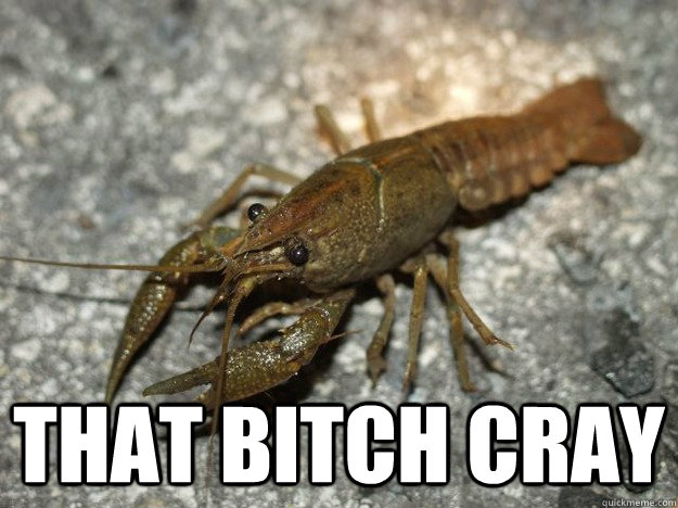  That bitch cray  that fish cray