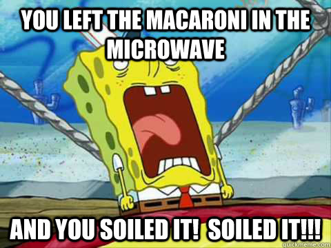 YOU LEFT THE MACARONI IN THE MICROWAVE AND YOU SOILED IT!  SOILED IT!!!  Soiled It Spongebob